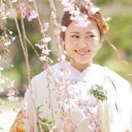 【撮影地：中島公園】   可愛い花嫁さまと桜がキュートすぎ！