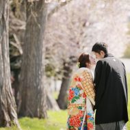 【撮影地：中島公園】   桜並木でロマンチックに